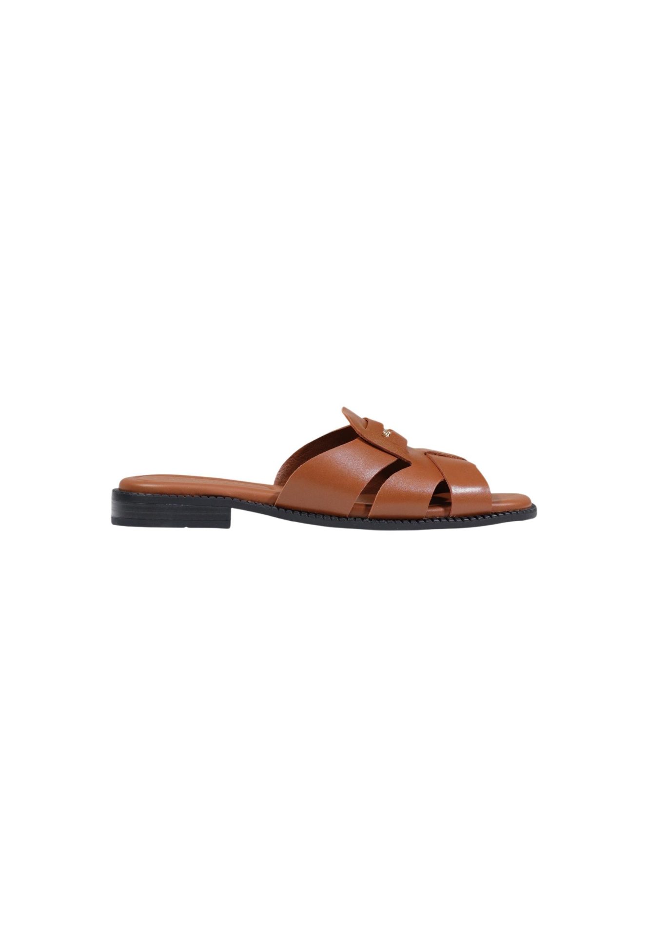 Product 113069 830331446 jpg